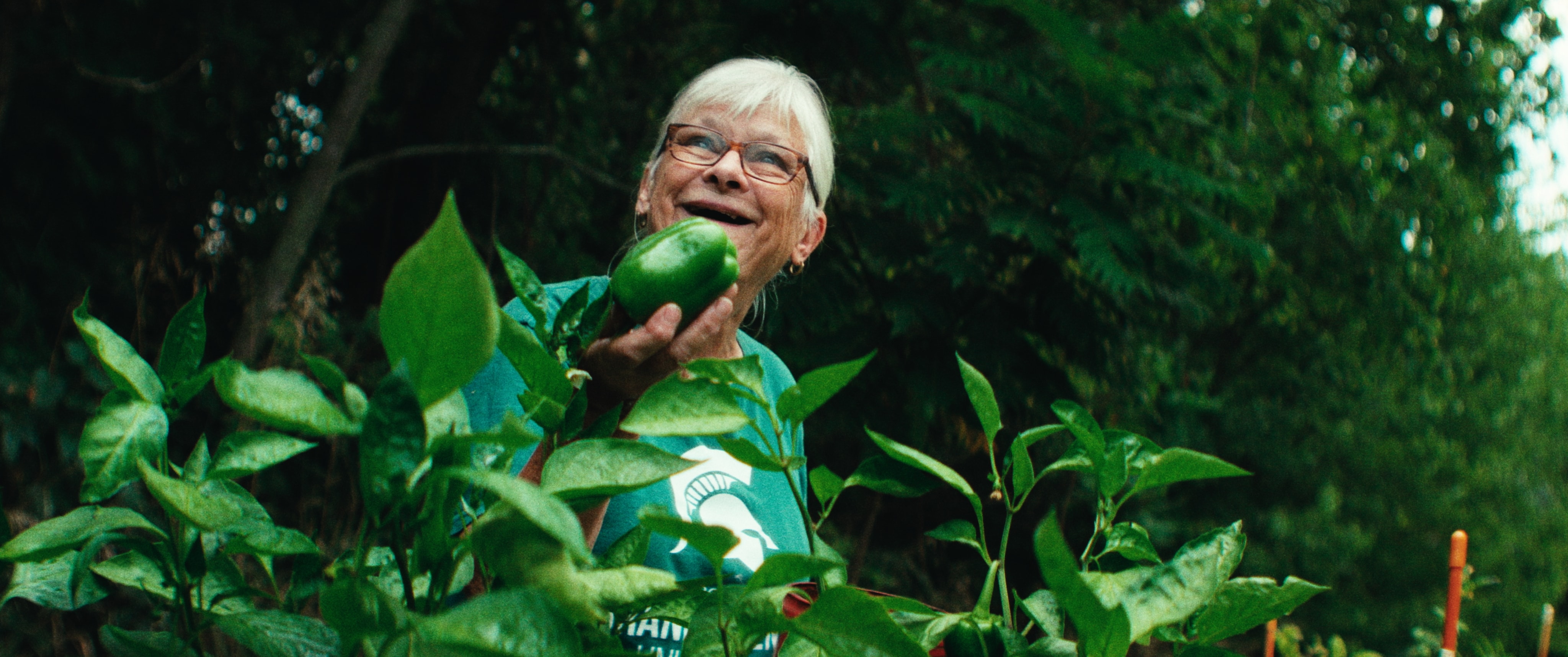 Louisell Farm — still 1