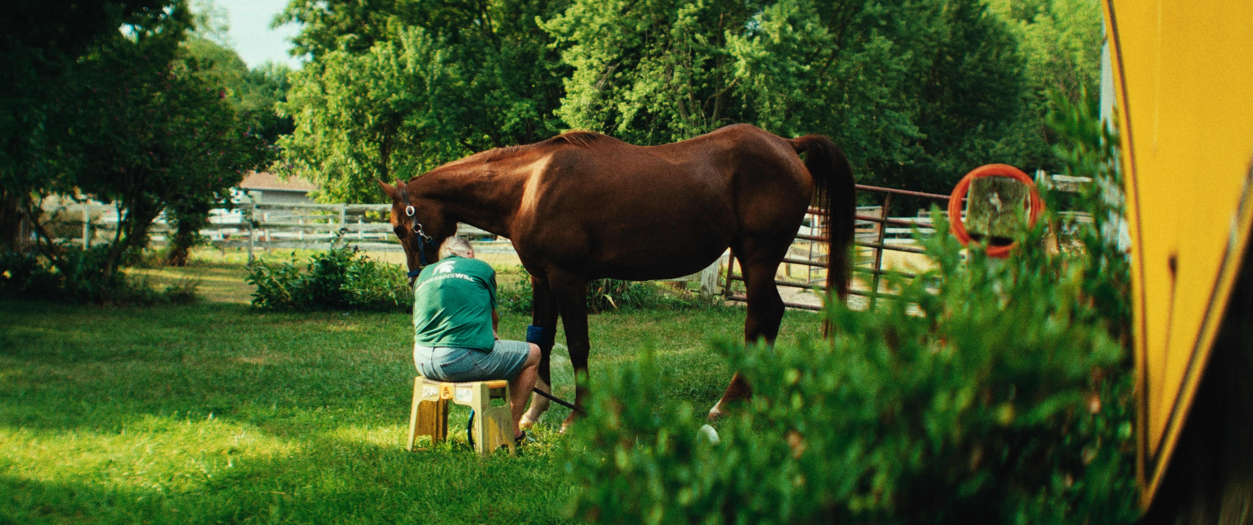 Louisell Farm — still 20