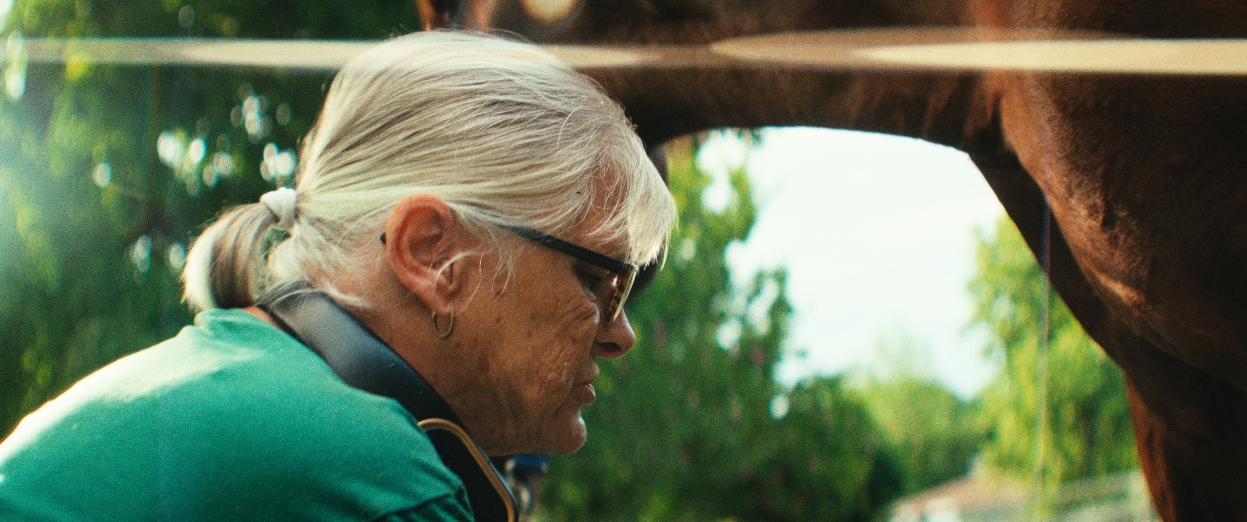 Louisell Farm — still 21